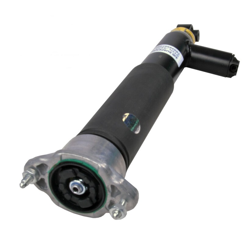 Rear Right Shock Absorber Mercedes CLS Shooting Brake (X218)